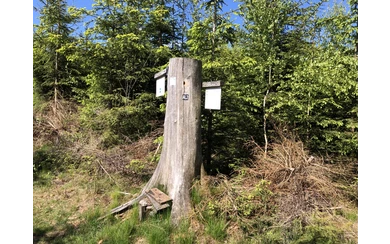 2021-05-30 10.33.59.jpg