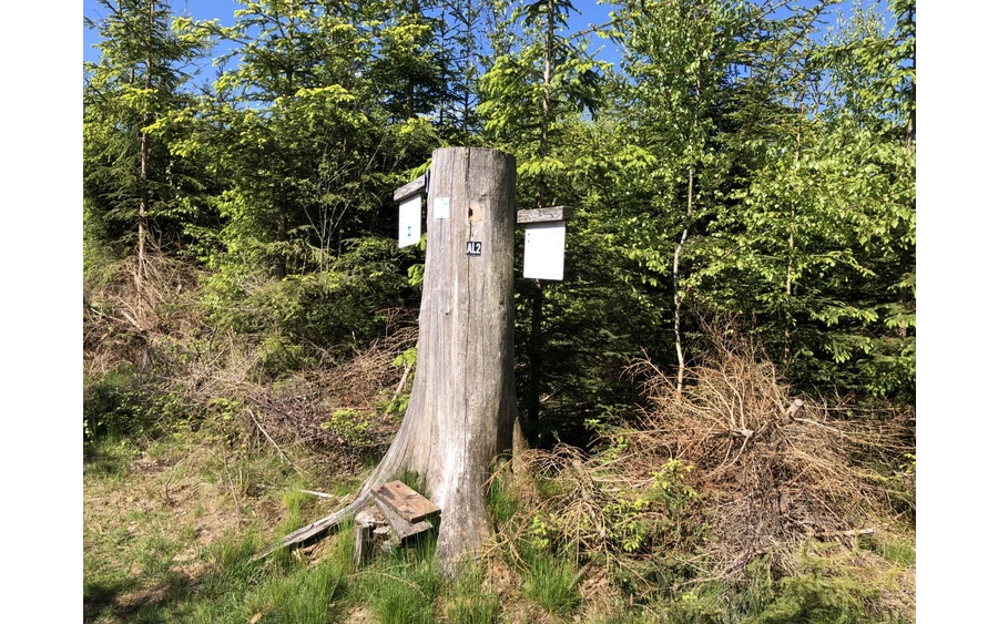 2021-05-30 10.33.59.jpg