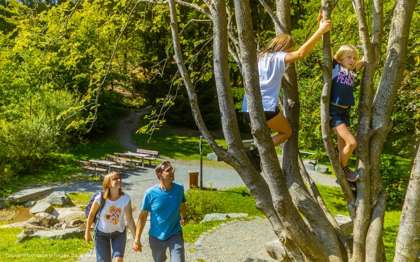 Familie am Kletterbaum an der Diemelquelle