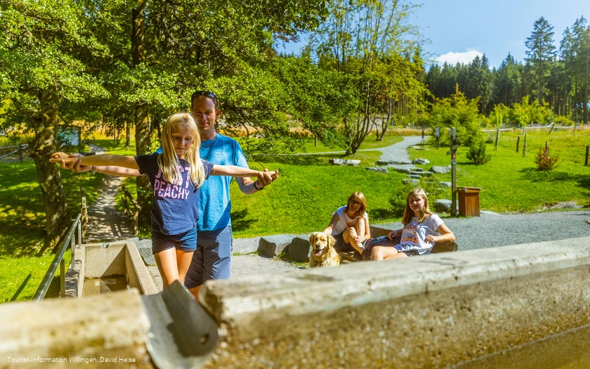 familie-tretbecken-diemelquelle c) david-heise-tourist-information-willingen.jpg