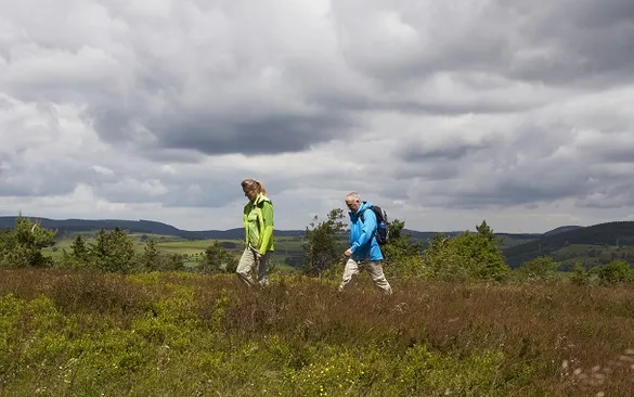 Wander auf dem SHF, ST, Tanja Evers.jpg
