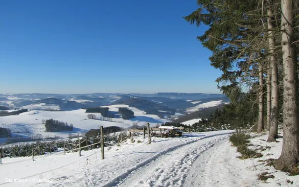 Blick auf Altenilpe im Winter