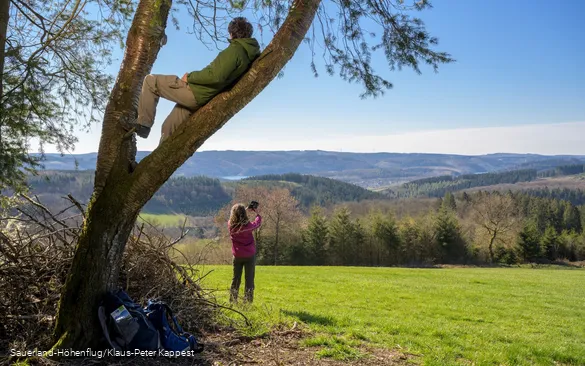 Ein Mann sitzt im Baum und genießt die Aussicht auf den Biggesee. Eine Frau macht im Hintergund ein Selfie am Sauerland-Höhenflug