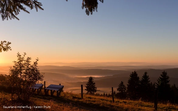 Blick in die Ferne, blauer Himmel, links die aufgehende Sonne, Heidelandschaft und ein paar Nadelbäume. Im Hintergrund sieht man sauerländer Berge.