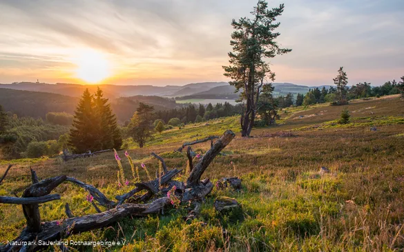 Ausblick in die Ferne bei Sonnenuntergang von der Kahlen Pön aus.