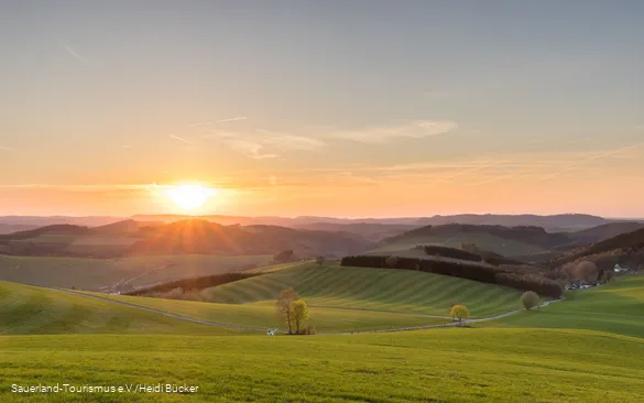 Sonnenuntergang über der schwingenden Wiesenlandschaft