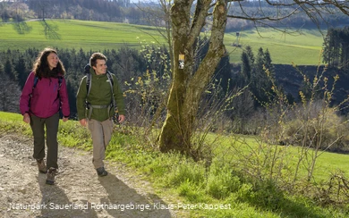 Wandern auf dem Sauerland-Hoehenflug oberhalb von Windhausen