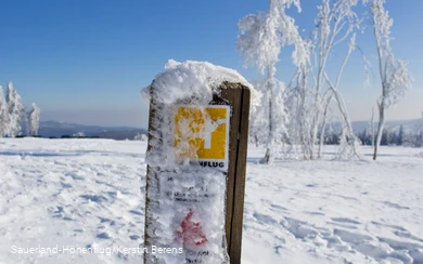Die Sauerland-Höhenflug Markierung am Kahlen Asten