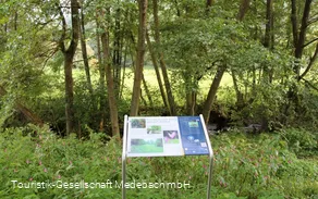 Infotafel 3 am Gewässerpfad Orke