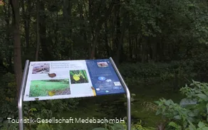 Infotafel 9 am Gewässerpfad Orke