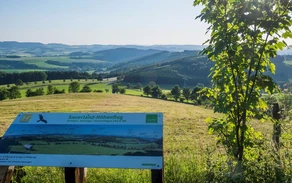 Sauerland Höhenflug, Nähe Schmallenberg, Klaus-Peter Kappest_Klein.jpg