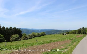 Wanderweg Wildewiese