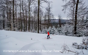Langläuferin im verschneiten Wald in Willingen