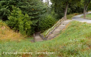 Eine Treppe, die vom Kurpark hinunter in den Wald führt.