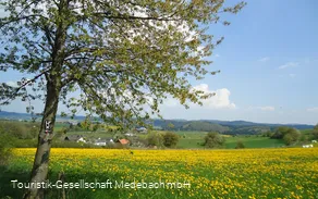 Fernsicht Berge