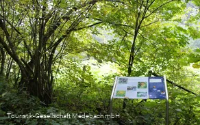 Infotafel 8 am Gewässerpfad Orke