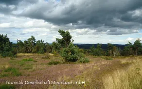 Hochheidelandschaft