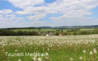 Tausende Pusteblumen - Panorama bei Berge
