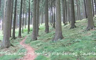 Herrlicher Pfad nahe des Krähetals
