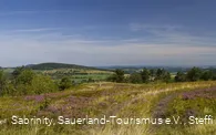 Usseler Heide