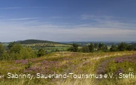 Usseler Heide