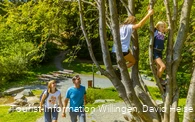 Familie am Kletterbaum an der Diemelquelle