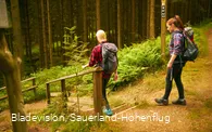 Auf dem Weg ins Renautal