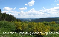 Panorama in Richtung Homert