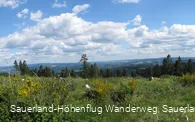 Blick von der Homert