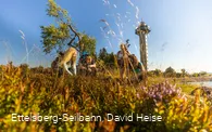 hochheideturm-straeucher-sommer c) ettelsberg-seilbahn-david-heise.jpg
