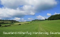 Wiesenweg am Ödenberg