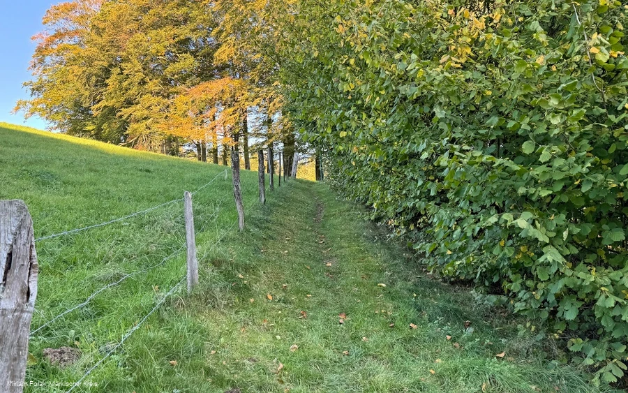 Pfad zur Aggerquelle