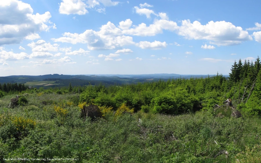 Blick von der Homert