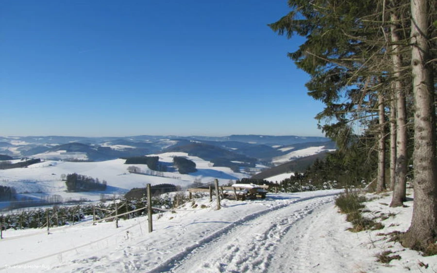 Blick auf Altenilpe im Winter