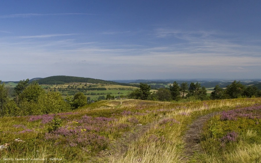 Usseler Heide