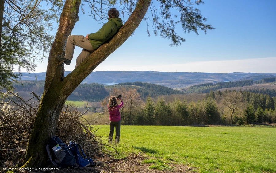 Ein Mann sitzt im Baum und genießt die Aussicht auf den Biggesee. Eine Frau macht im Hintergund ein Selfie am Sauerland-Höhenflug