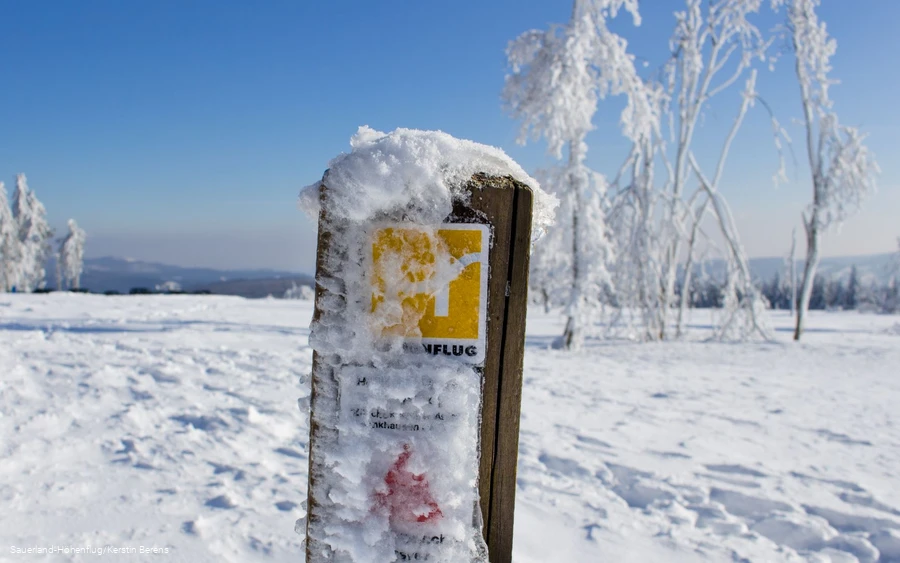 Die Sauerland-Höhenflug Markierung am Kahlen Asten