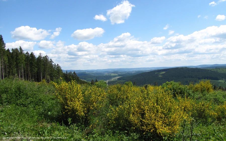 Panorama in Richtung Homert