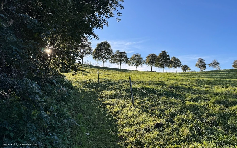 Wiesenpfad unterhalb der Meinhardus-Mattenschanzen