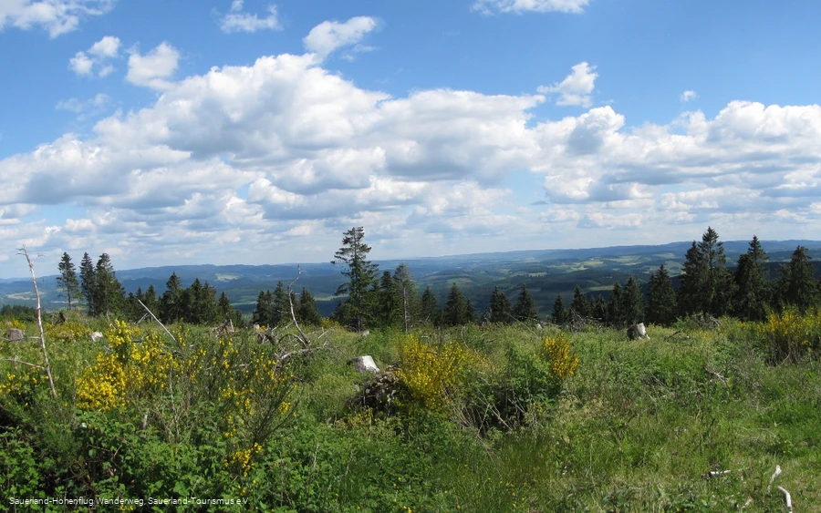 Blick von der Homert