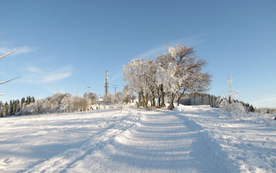 Verschneite Landschaft im Wintersportgebiet Wildewiese