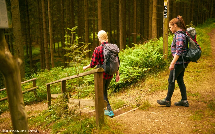 Auf dem Weg ins Renautal