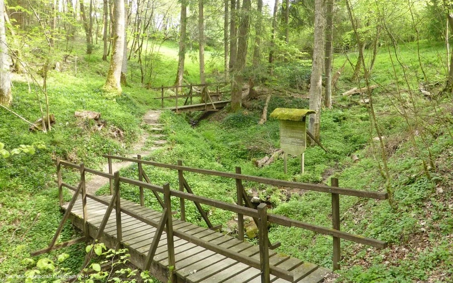 Die Orkequelle in Küstelberg