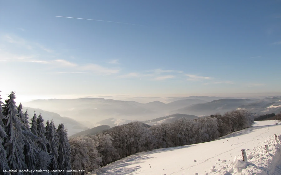 Wildewiese im Schnee