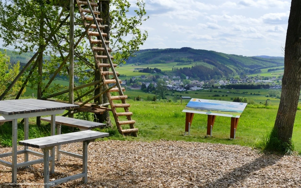 Aussichtspunkt Schäferheide
