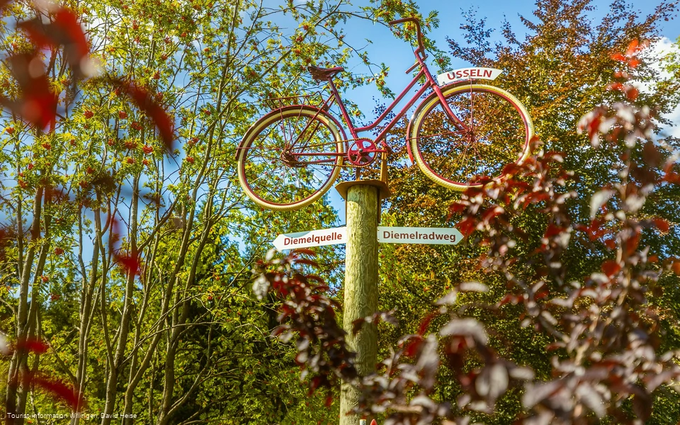wegweiser-fahrrad-diemelquelle c) david-heise-tourist-information-willingen.jpg