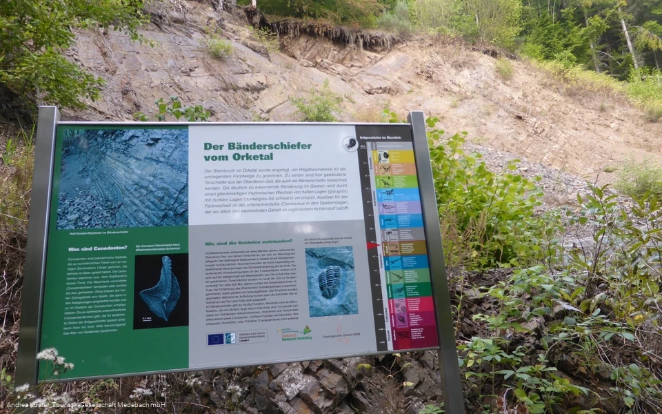 Geologischer Aufschluss - Steinbruch Orketal