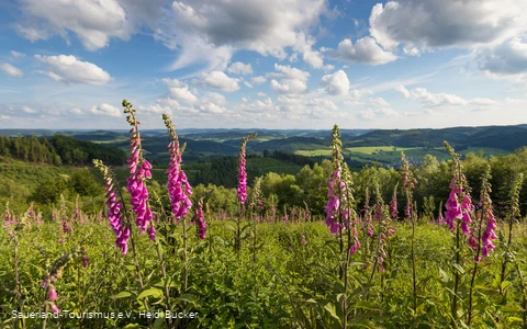Markshöhe bei Wenholthausen