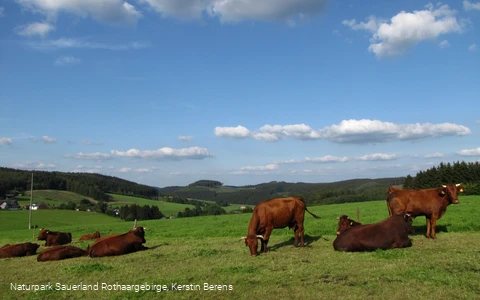 Blick auf Faulebutter
