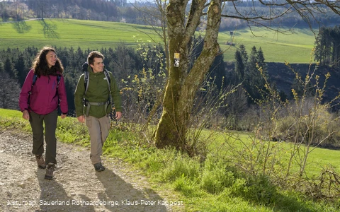 Wandern auf dem Sauerland-Hoehenflug oberhalb von Windhausen